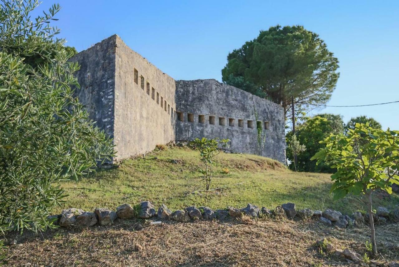 Villa Omnia - Kommeno Bay Дассия Экстерьер фото